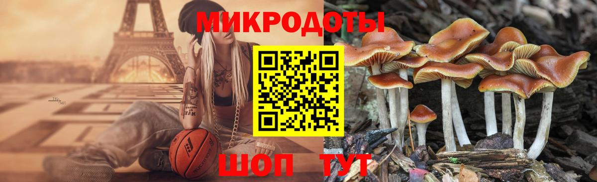 Псилоцибиновые грибы мухоморы Воскресенск
